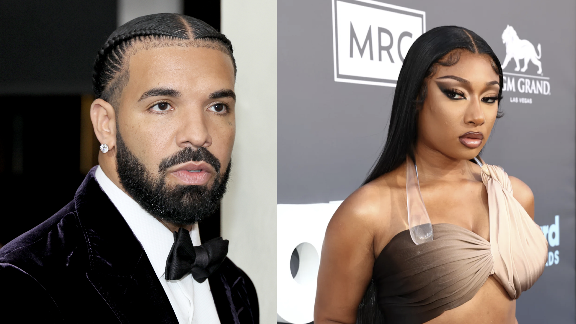 The Drake and Megan Thee Stallion image