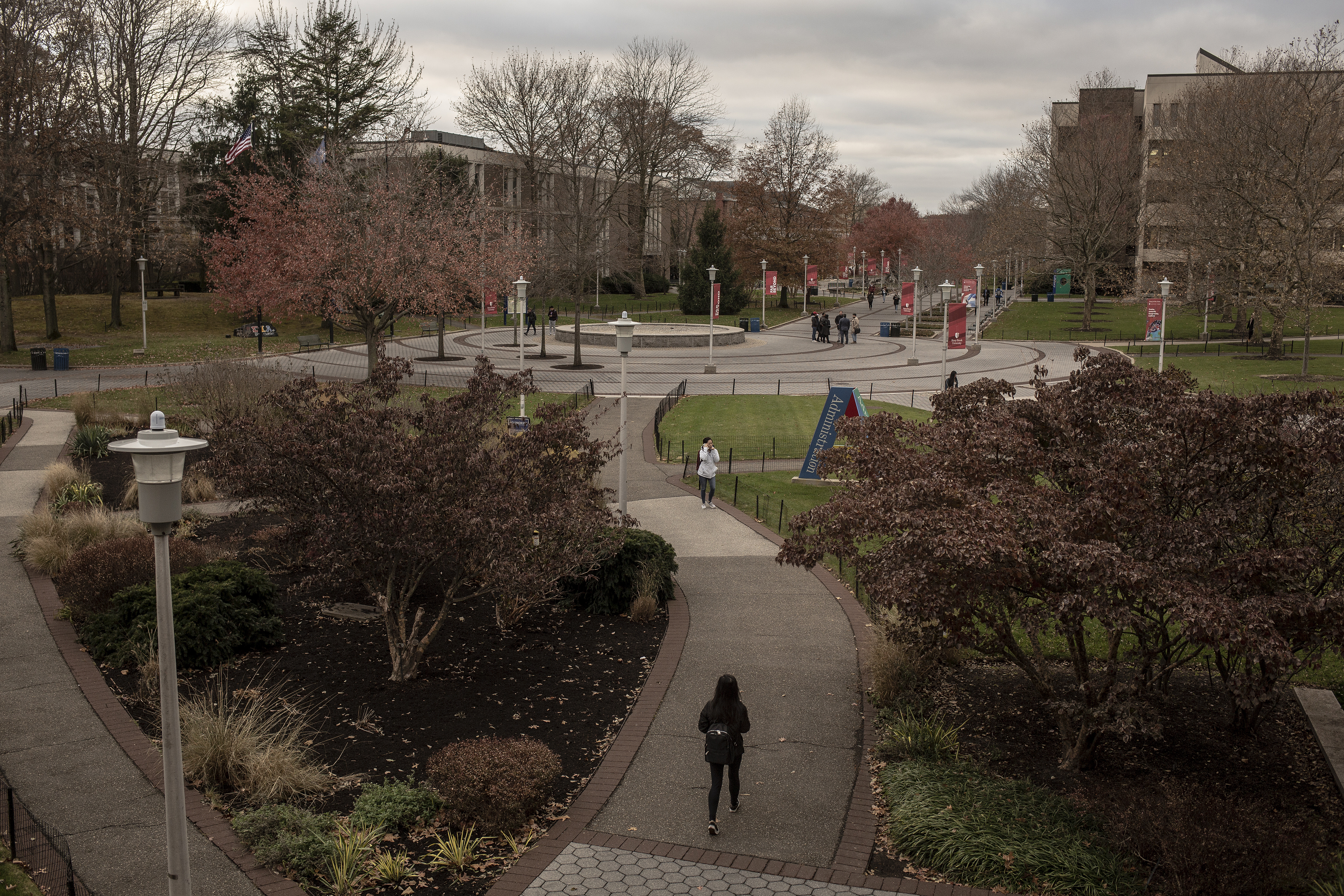 suny stony brook