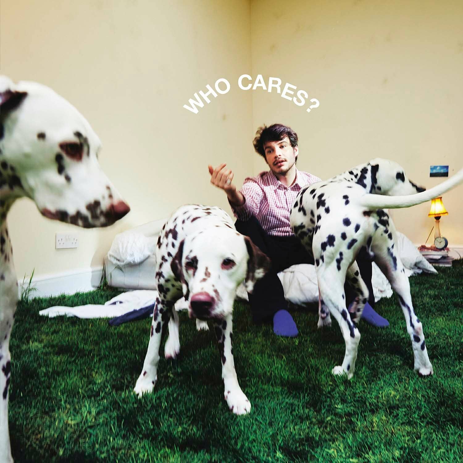 The cover art for Rex Orange County's album 'Who Cares?'