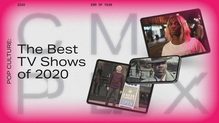 The Best TV Shows of 2020