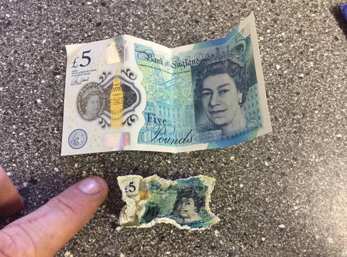 £5 note shrink
