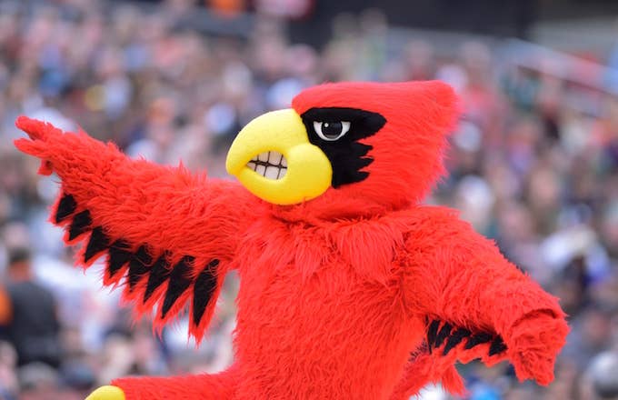 Louisville Cardinals mascot.
