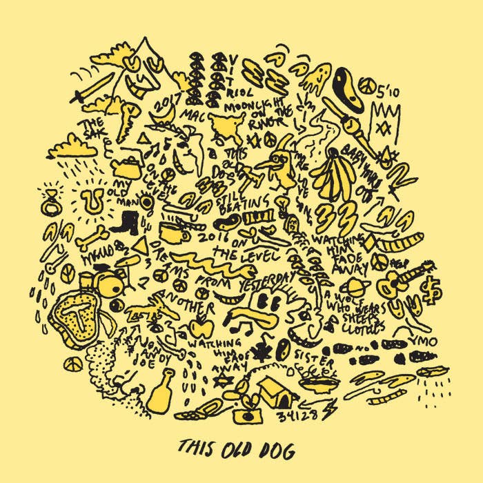 Mac DeMarco's 'This Old Dog'