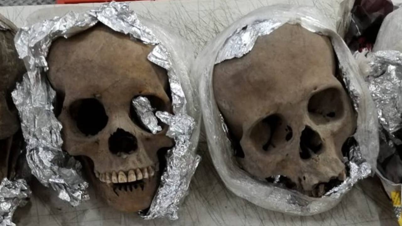 Skulls found in aluminum foil at airport