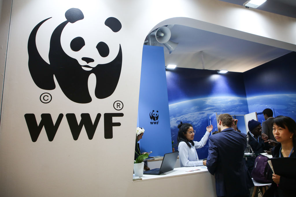 wwf logo