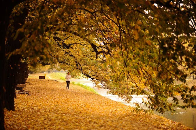 A woman runs amid deciduous leafs during autumn on Vilsonovo Hiking Trail in Sarajevo, Bosnia.