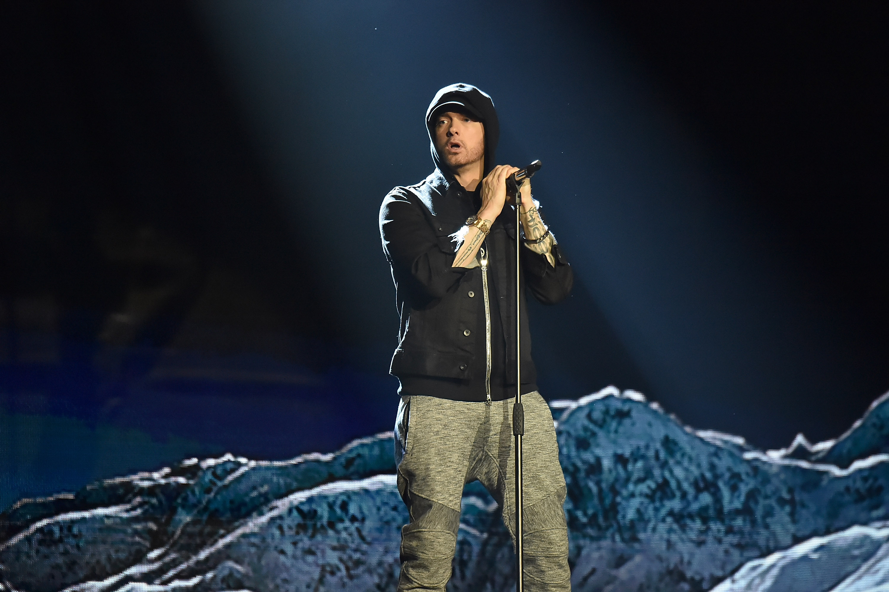 Jordan 2 Eminem 2008 for Sale, Authenticity Guaranteed