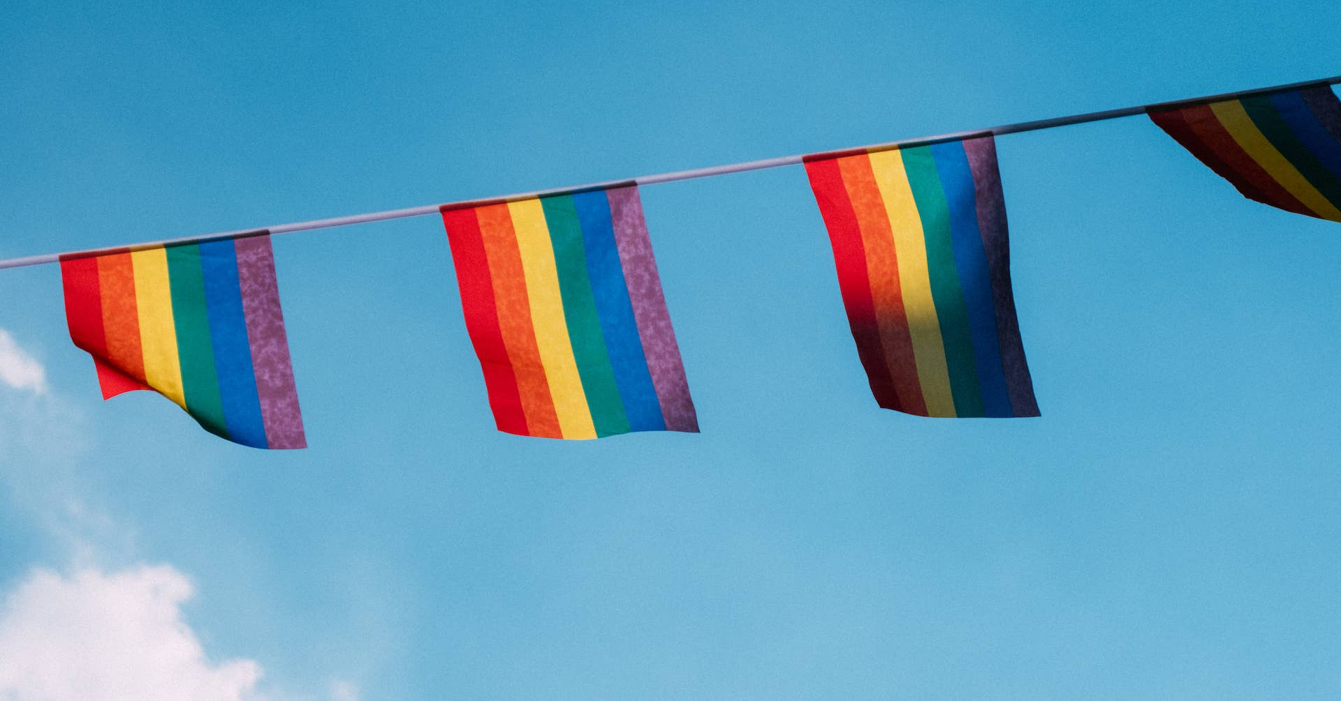 Gay Pride flags during Pride Parade 20201
