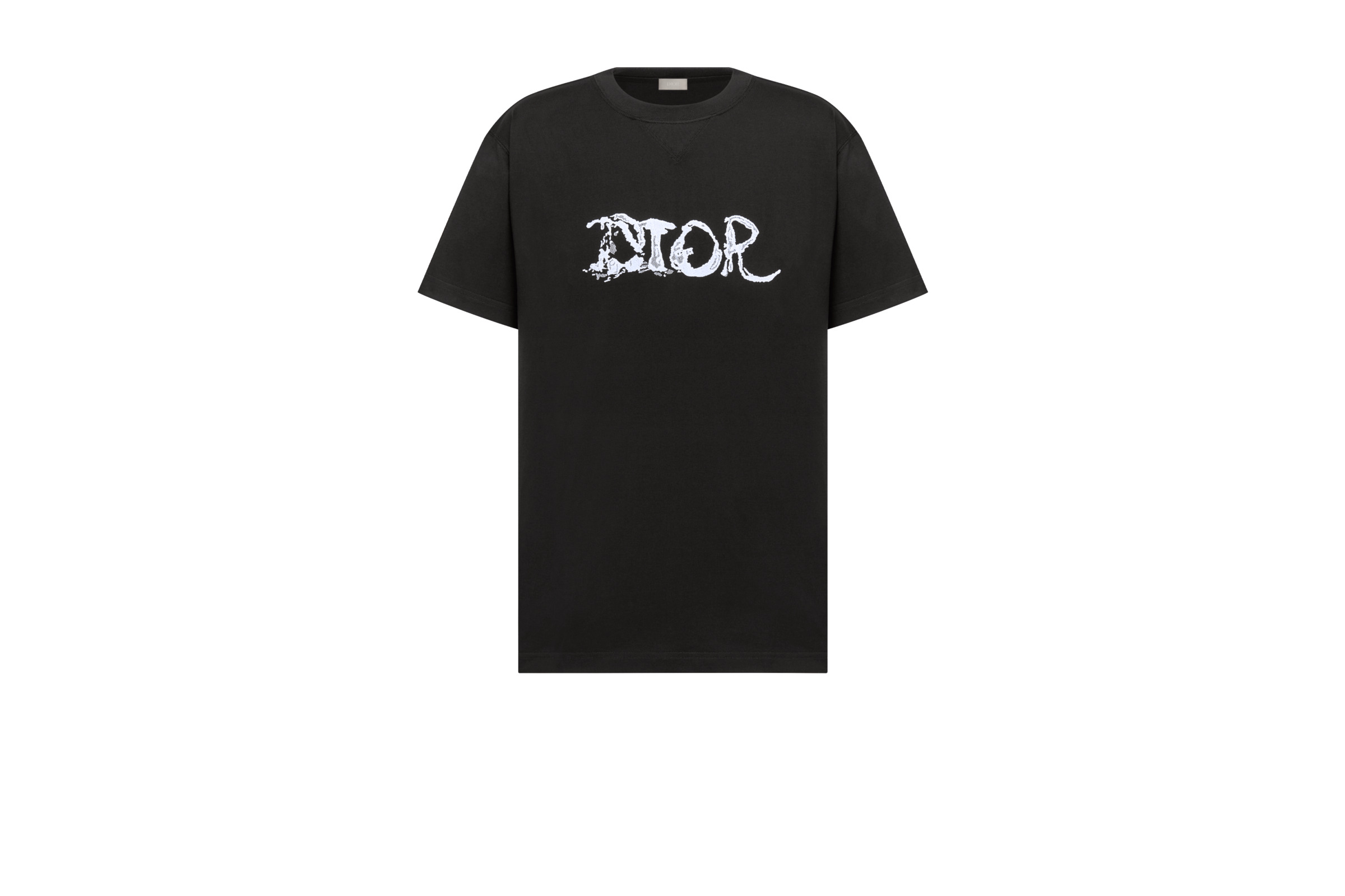 Oversized Dior and Peter Doig T-Shirt