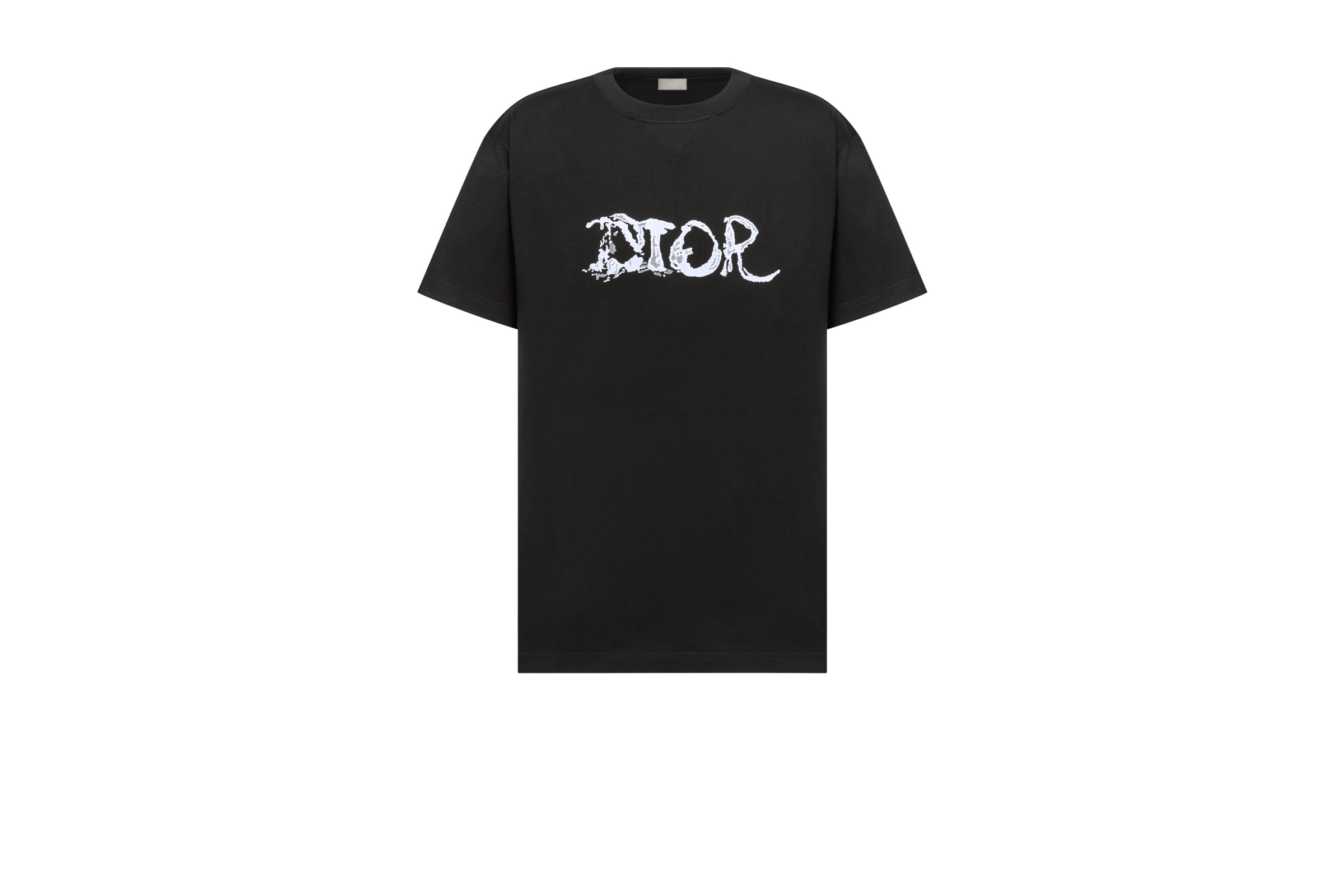 Dior X Peter Doig Oversized Logo T-shirt in Black for Men