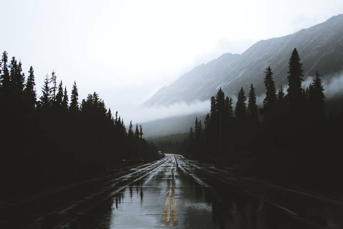 Albert's rockies during the rain