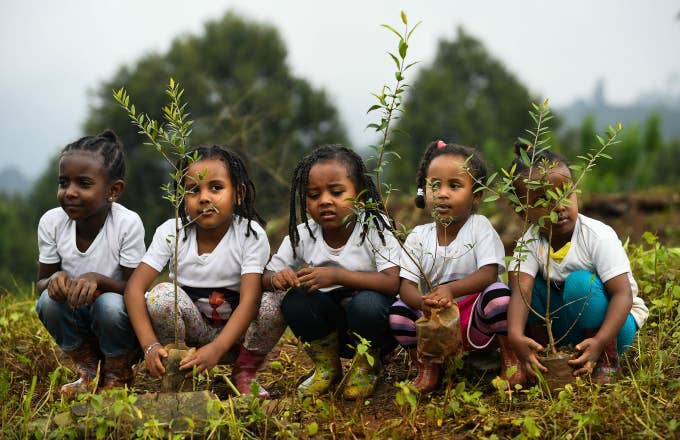 Young ethiopian girls take part in a national tree planting drive
