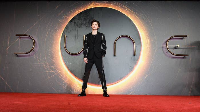 Timothée Chalamet at the 'Dune' premiere