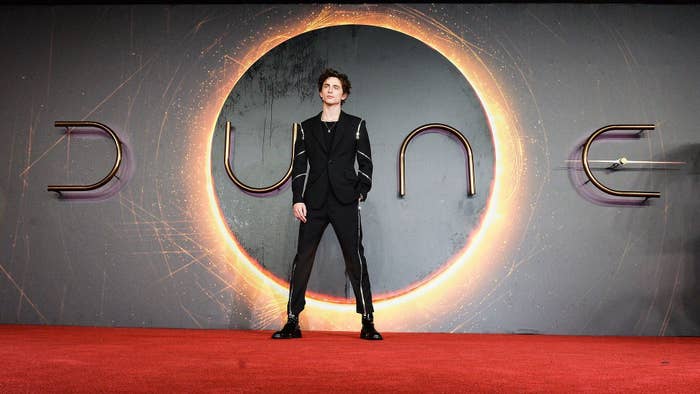 Timothée Chalamet at the &#x27;Dune&#x27; premiere