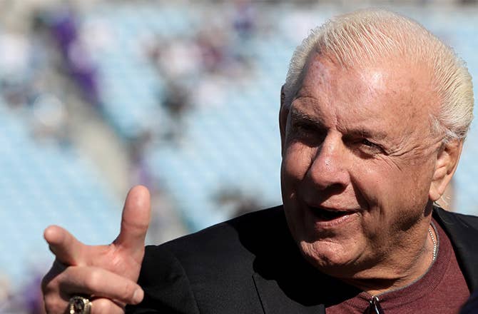 This is a photo of Ric Flair.