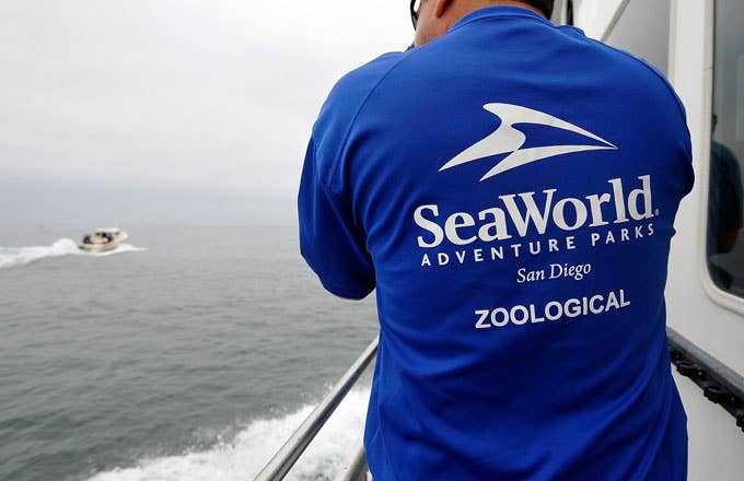 A SeaWorld San Diego worker