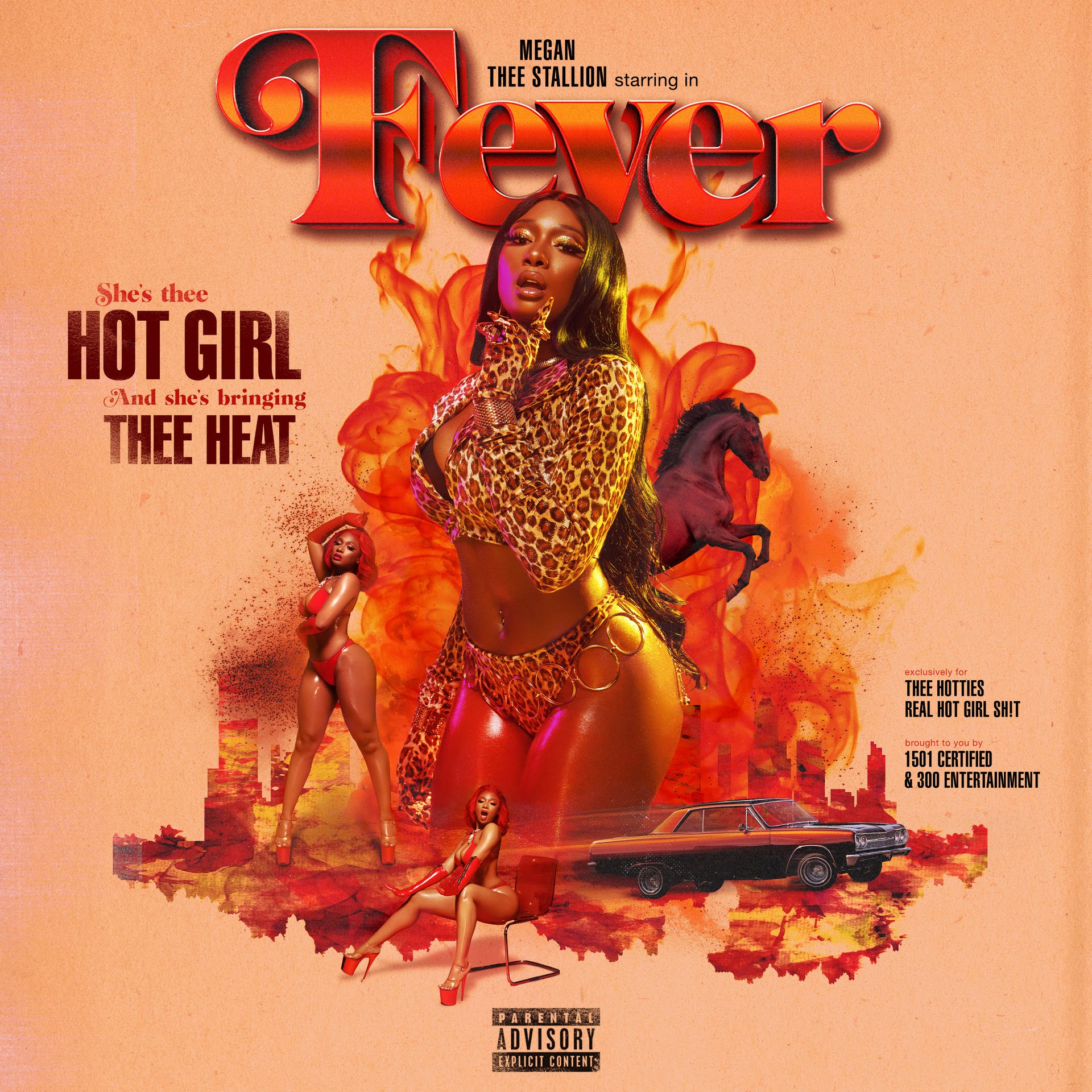 megan thee stallion fever