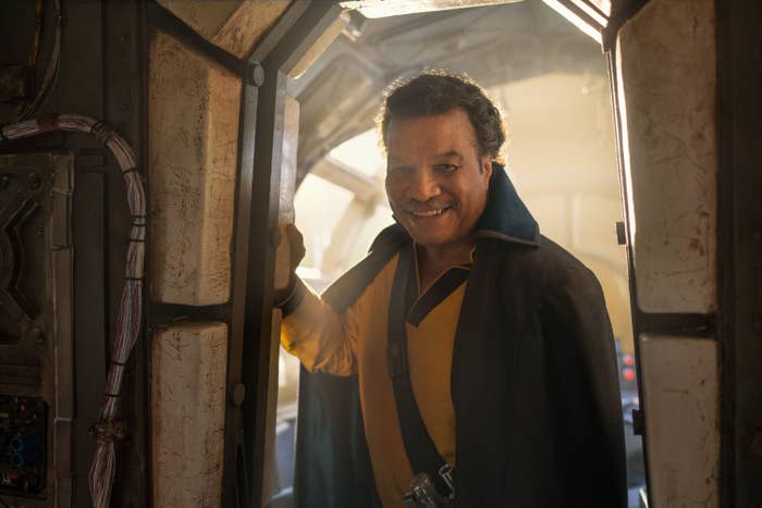 Billy Dee Williams as Lando