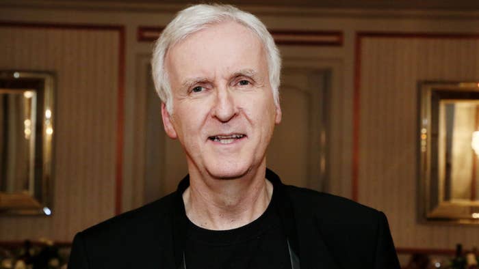 Director James Cameron attends Red Carpet Green Dress at the Private Residence of Jonas Tahlin