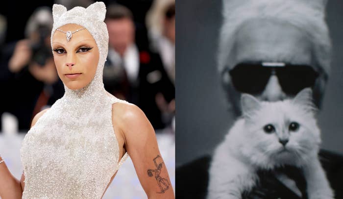 Doja Cat and Karl Lagerfeld cat split