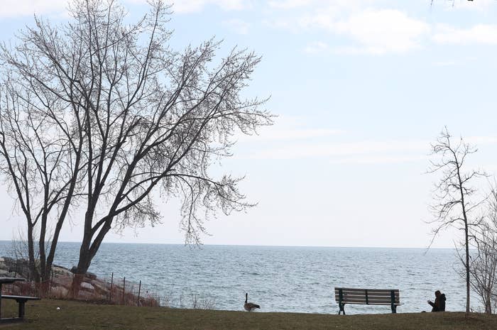 Lake Ontario shoreline during the day