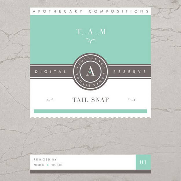 tam tain snap cover