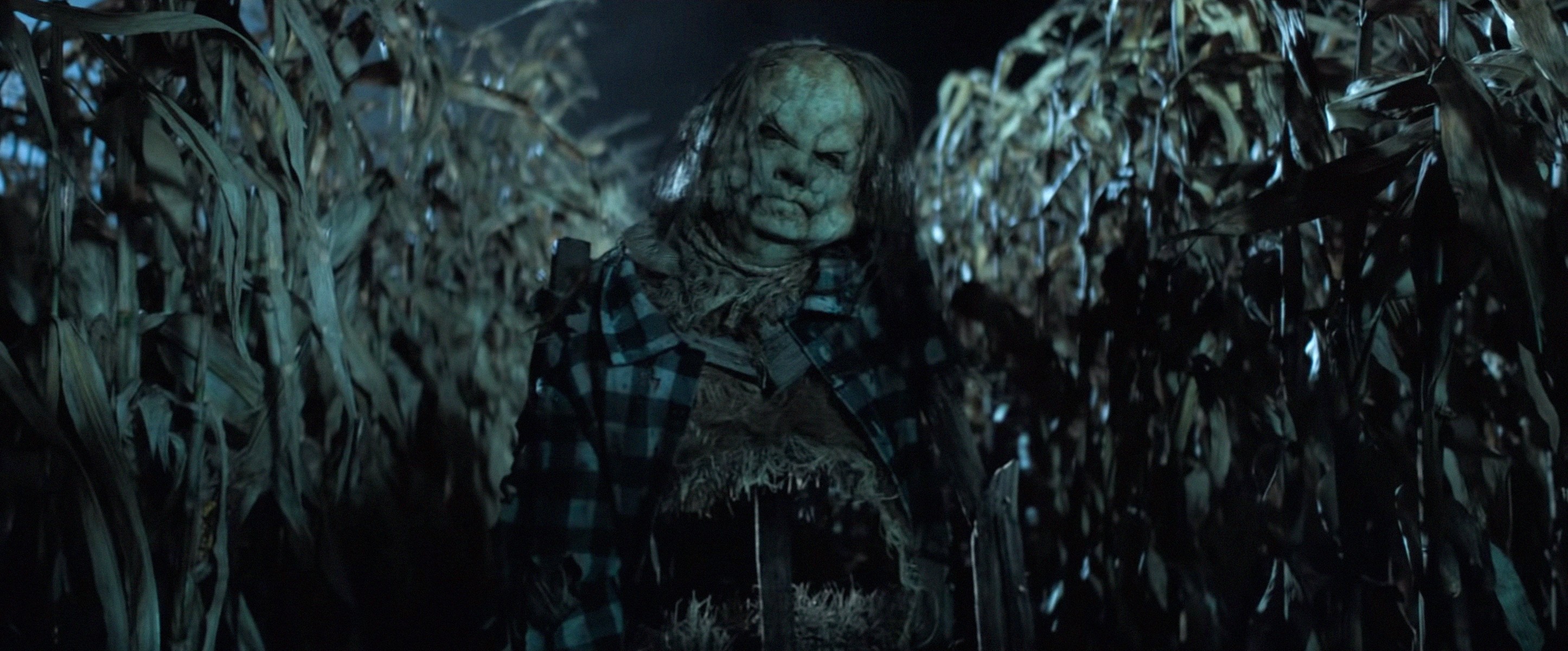 A freaky scarecrow in the middle of nowhere.