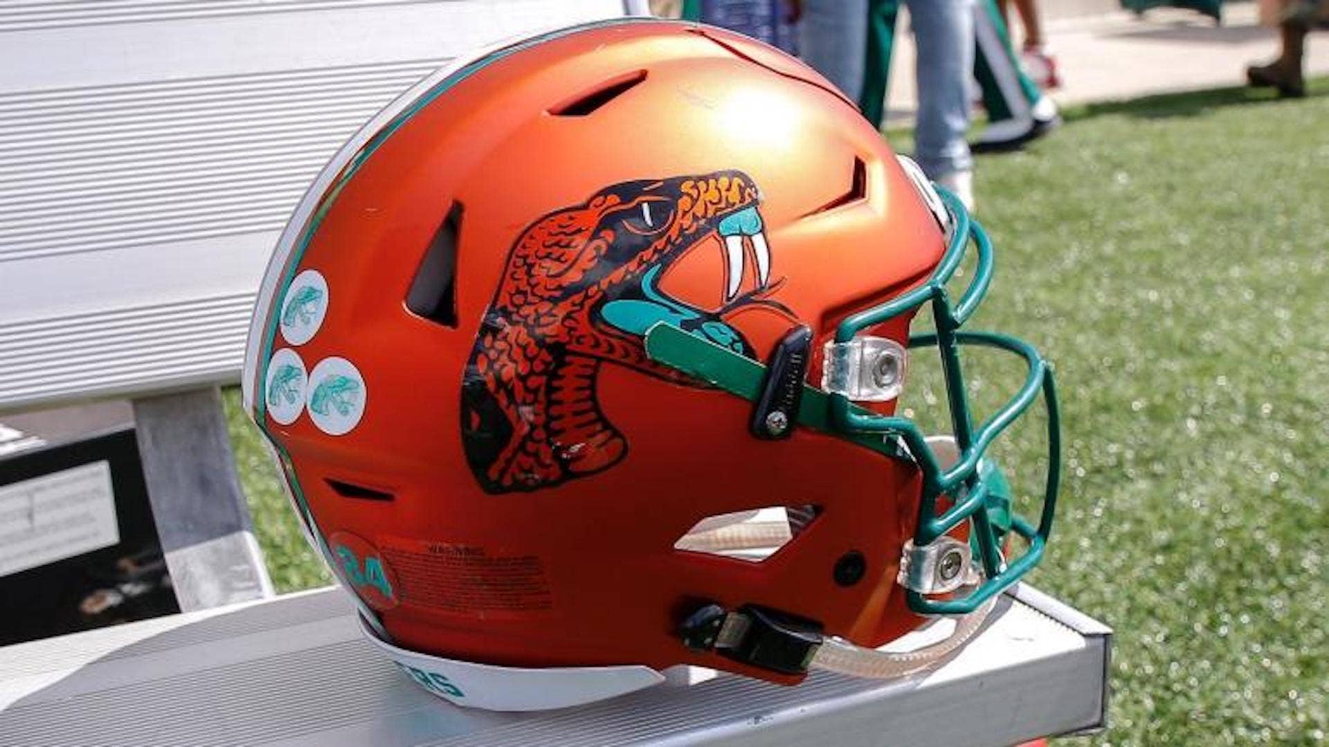 Florida A&M Rattlers