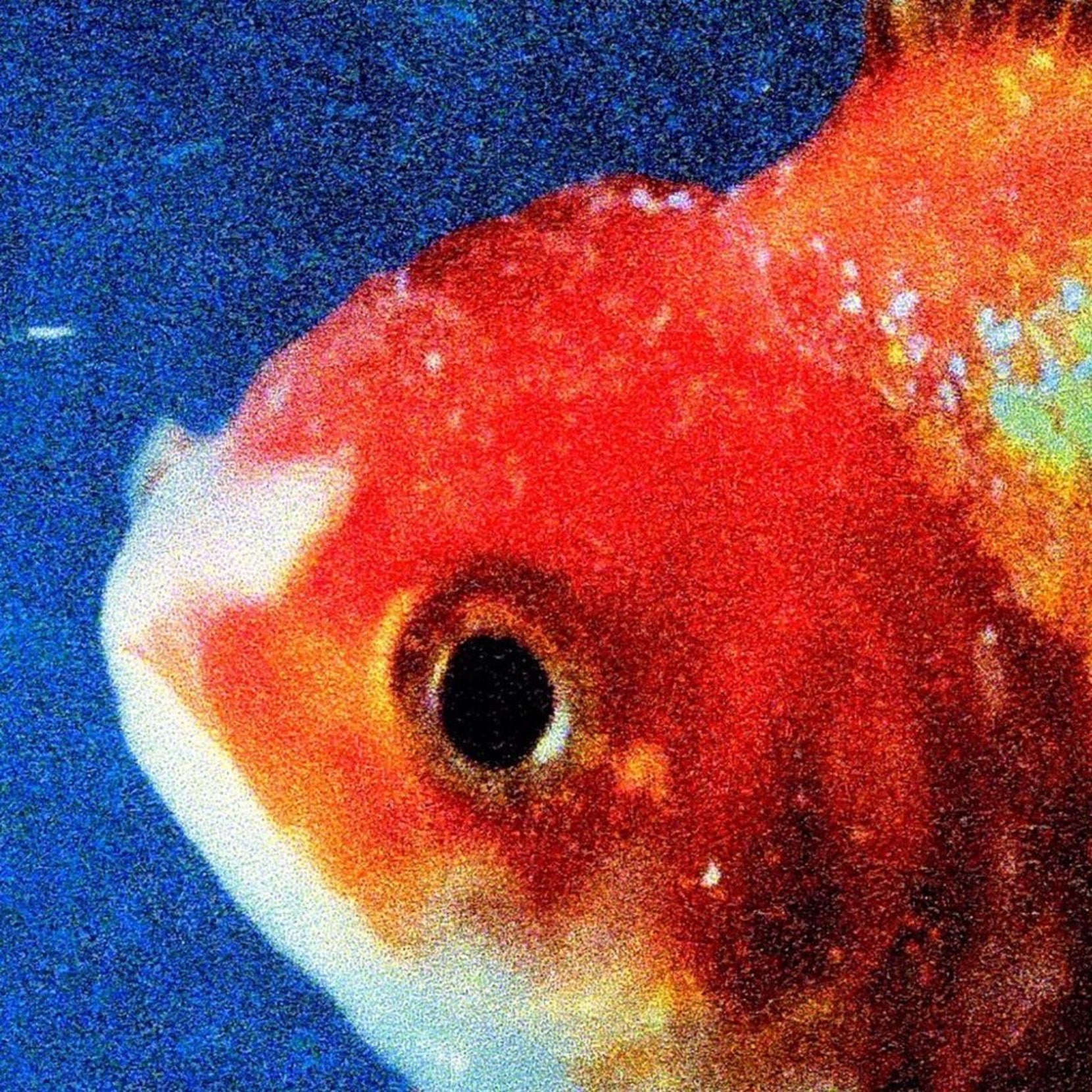 vince staples album cover