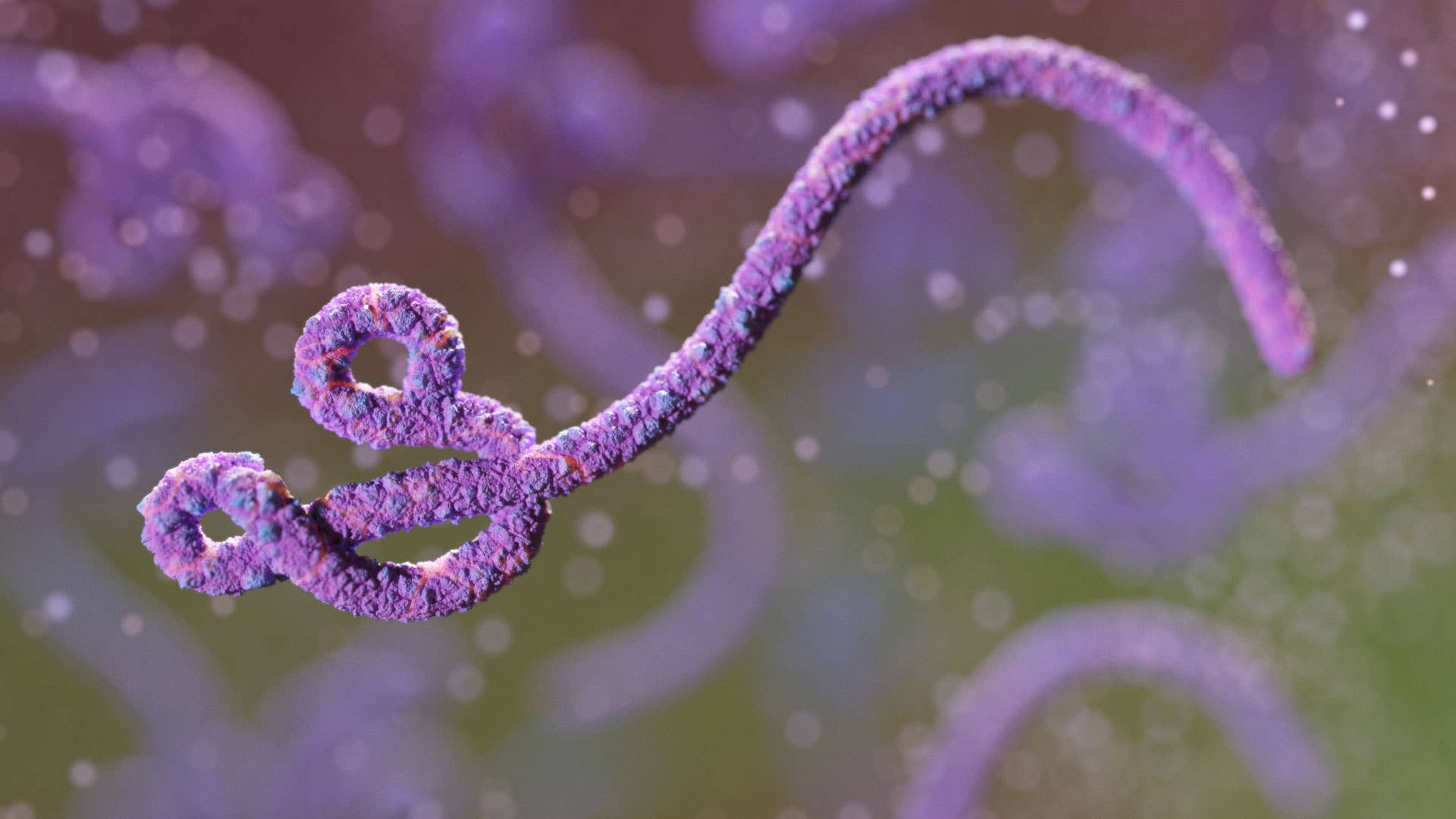 Digital illustration of ebola.