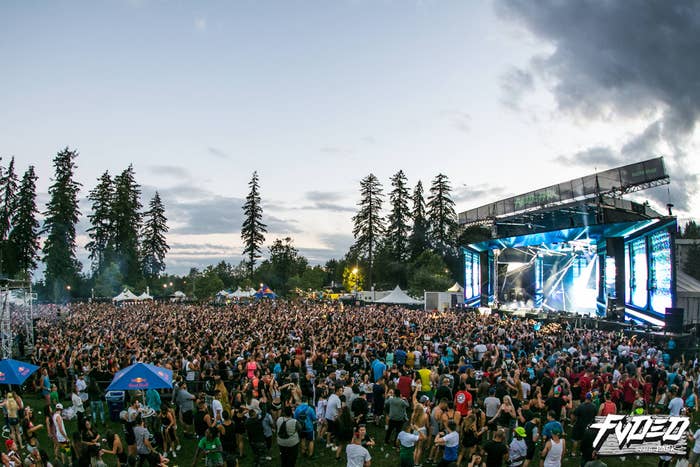 fvded in the park 2018 lineup