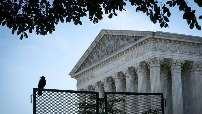 A bird sits atop security fencing outside of the U.S. Supreme Court on May 31, 2022 in Washington, DC.