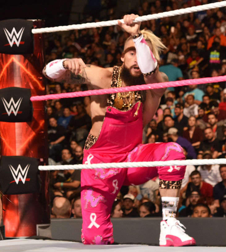 Enzo Amore Wearing the Dynamic Pink Air Jordan 12