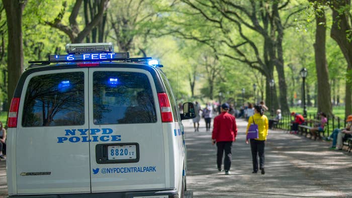 NYPD Central Park