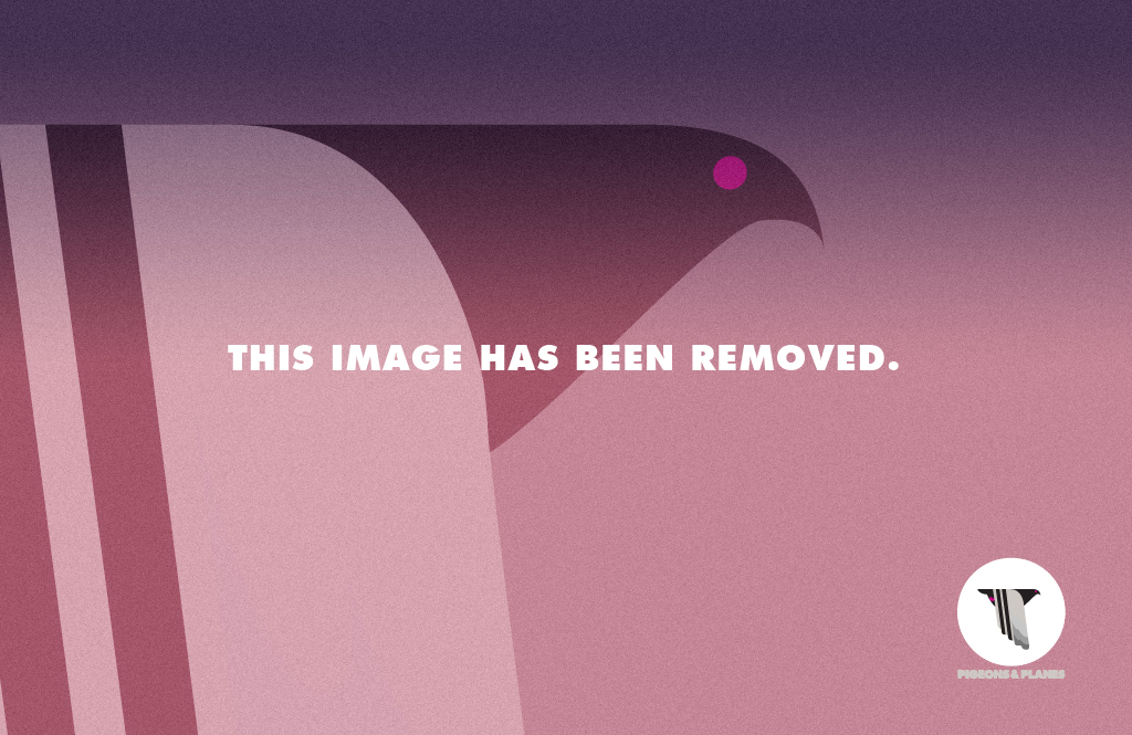 Image Removed Pigeons and Planes