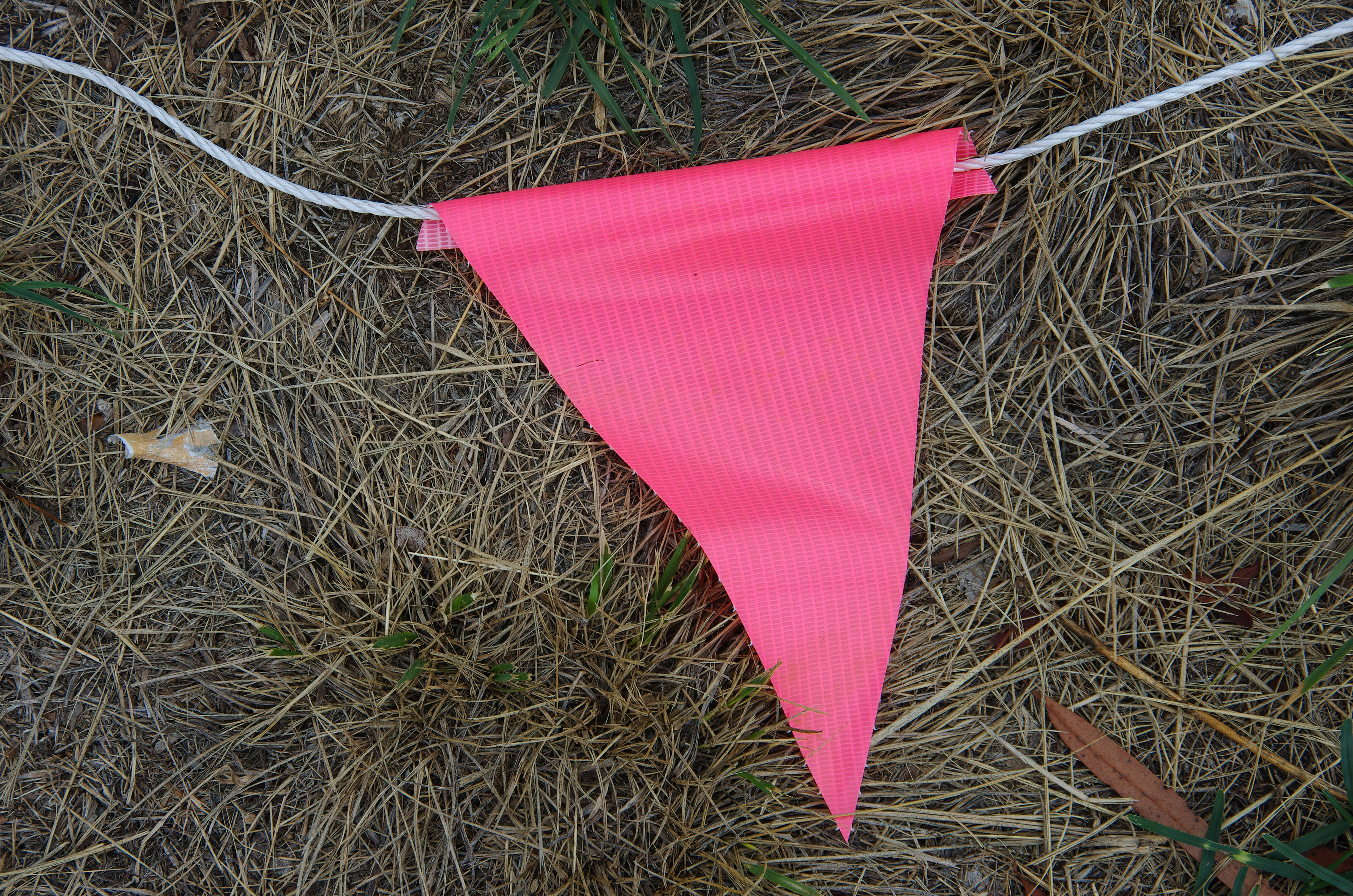 A pink flag sitting in the grass