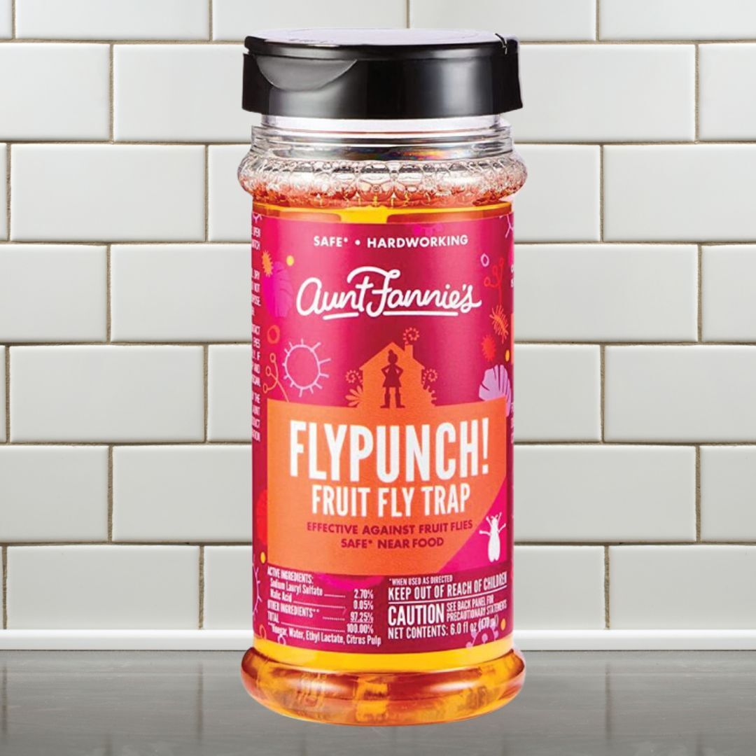 A jar of Aunt Fannie's FlyPunch! Fruit Fly Trap, effectual  against effect   flies, suitable for usage  adjacent   food