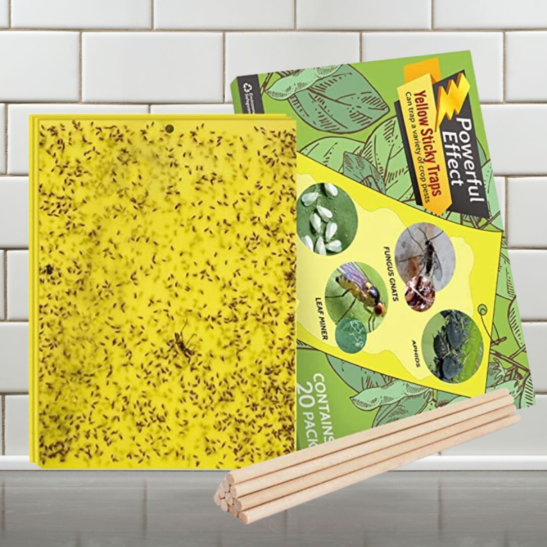 Yellow sticky traps for catching insects, shown with packaging and woody  stakes, against a tiled background. Ideal for plot  pest control