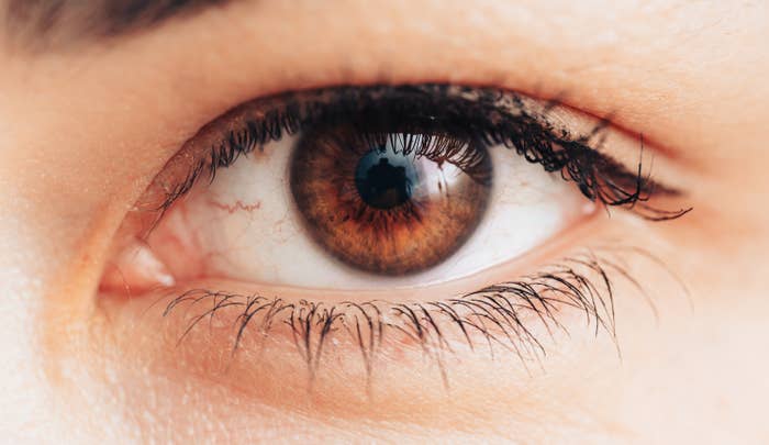 Close-up of a person&#x27;s eye with visible eyelashes and eyebrow details