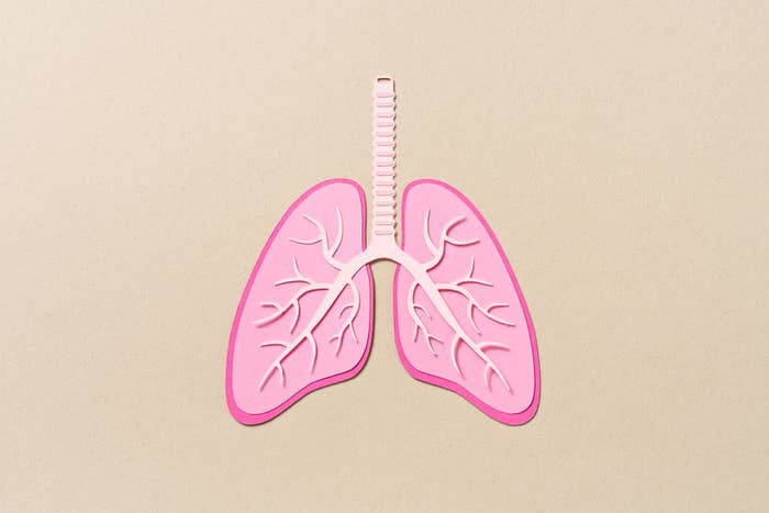 Paper cut-out of human lungs on a neutral background for health concept