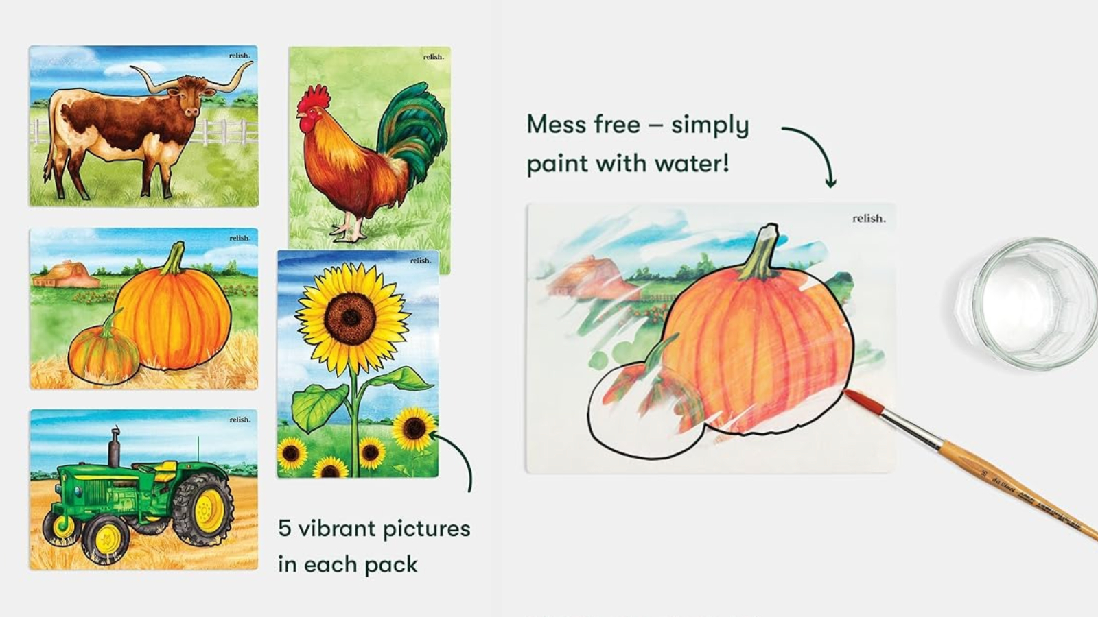 A paint-with-water craft set showing five different images, such as a pumpkin and a sunflower