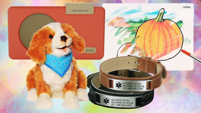 A red music player, a stuffed toy dog, medical alert bracelets, and a drawing of a pumpkin