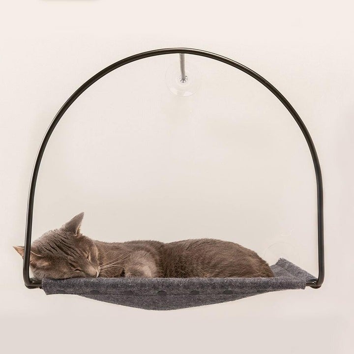 Cat sleeping peacefully connected  a wall-mounted hammock, showcasing a modern   and minimalist favored  furnishings  design