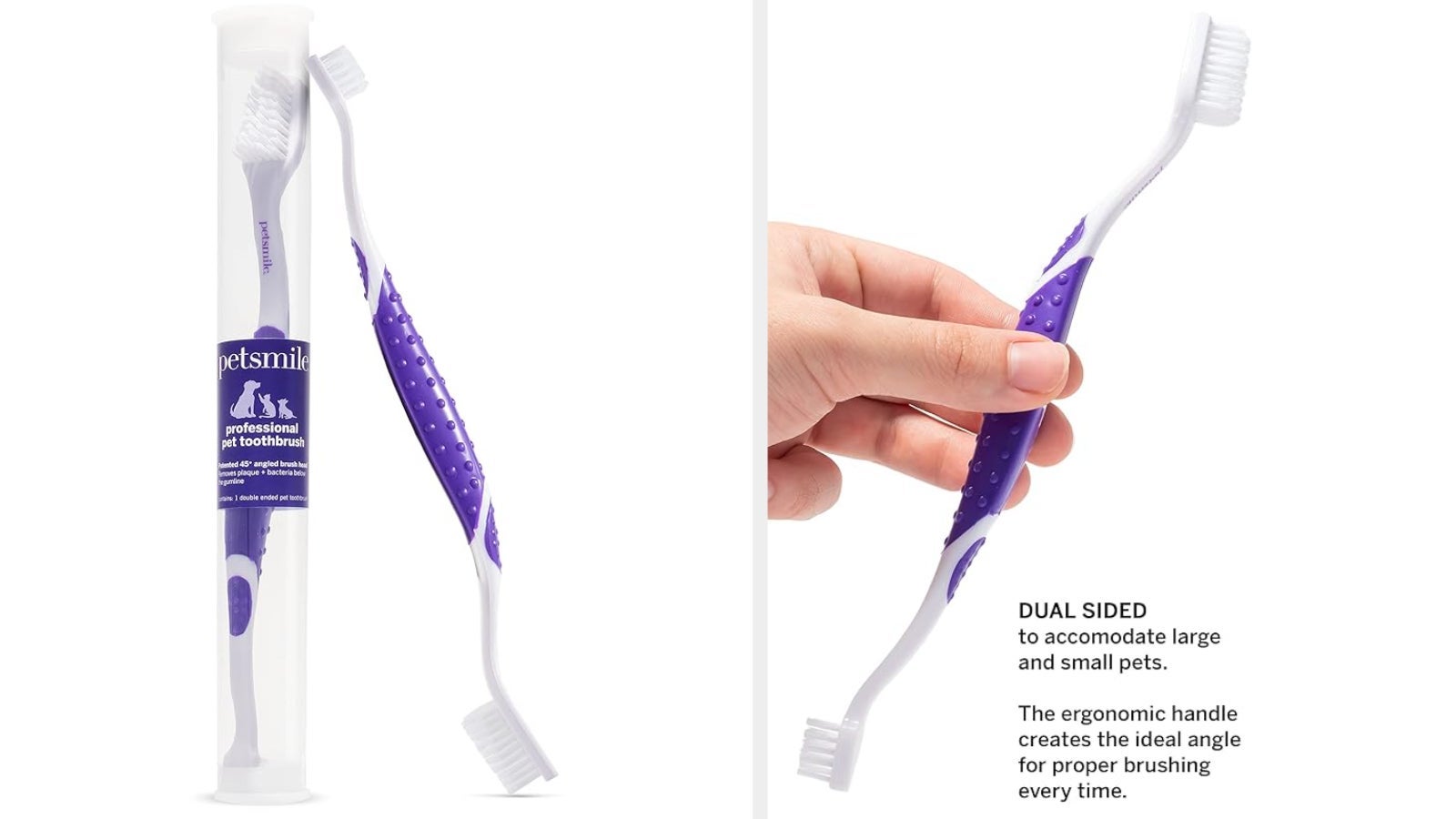 Yes, You Should Be Brushing Your Pet's Teeth. Here's Why — And The Best ...
