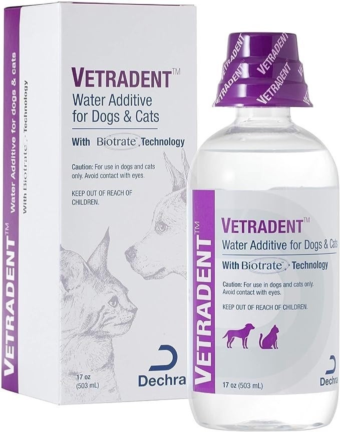 Yes, You Should Be Brushing Your Pet's Teeth. Here's Why — And The Best ...