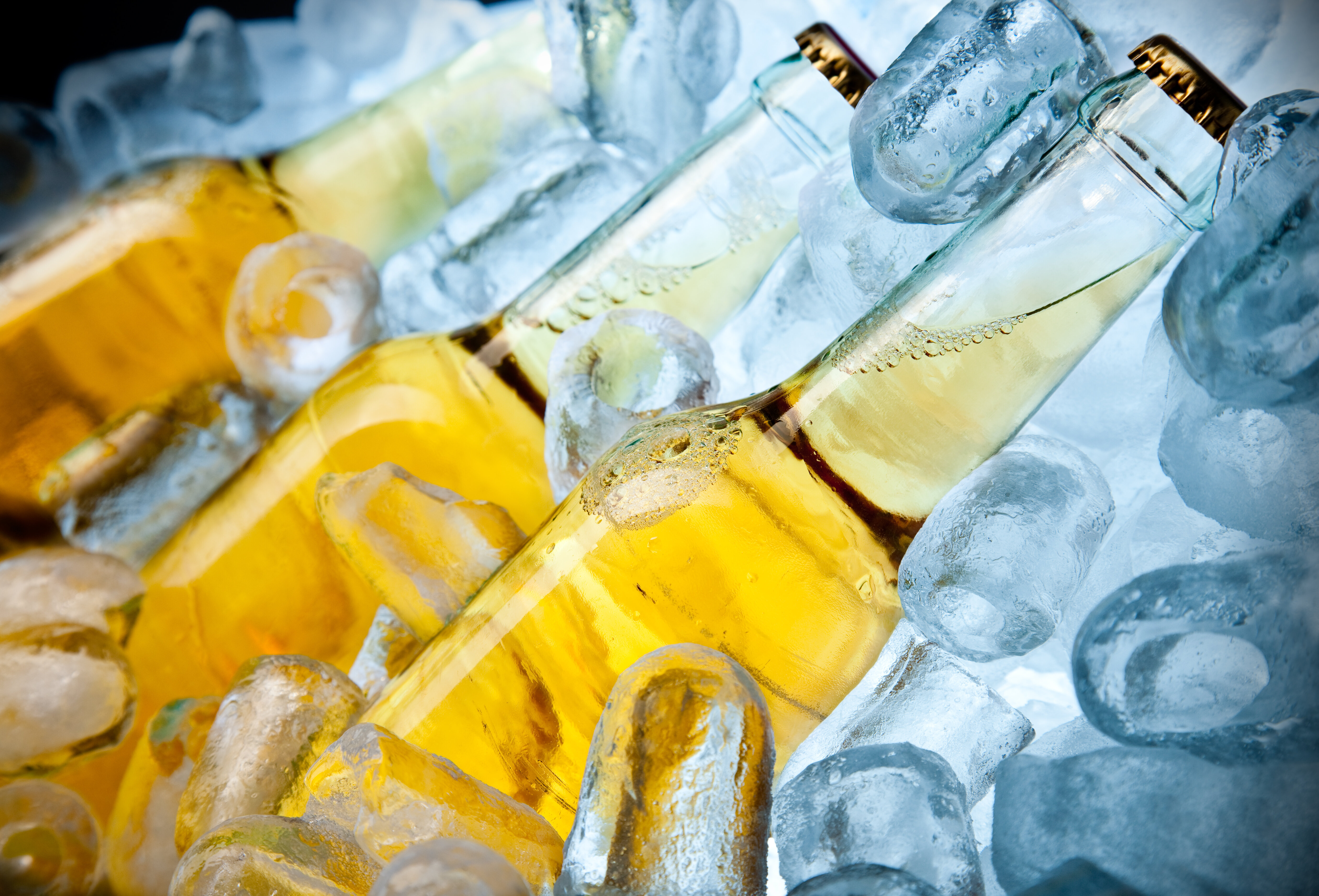 Close-up of three beer bottles nestled in ice cubes