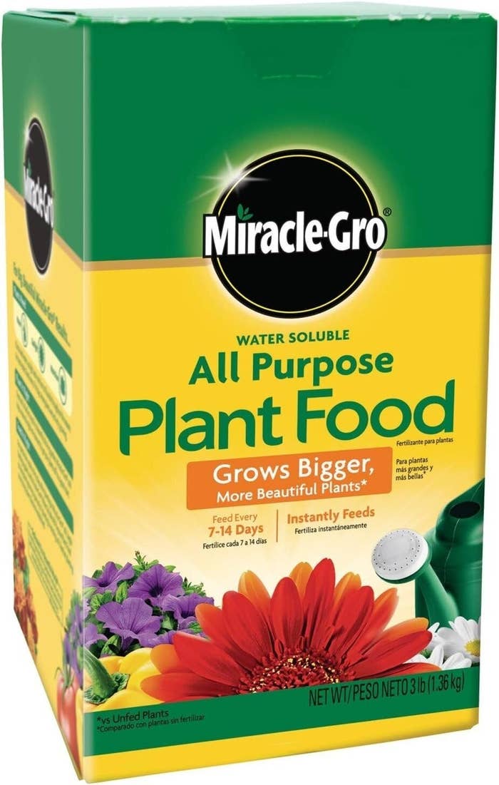 Miracle-Gro All Purpose Plant Food container  with flowers and watering can, promotes maturation  and instant feeding for 7-14 days, nett  wt 3 lb (1.36 kg)