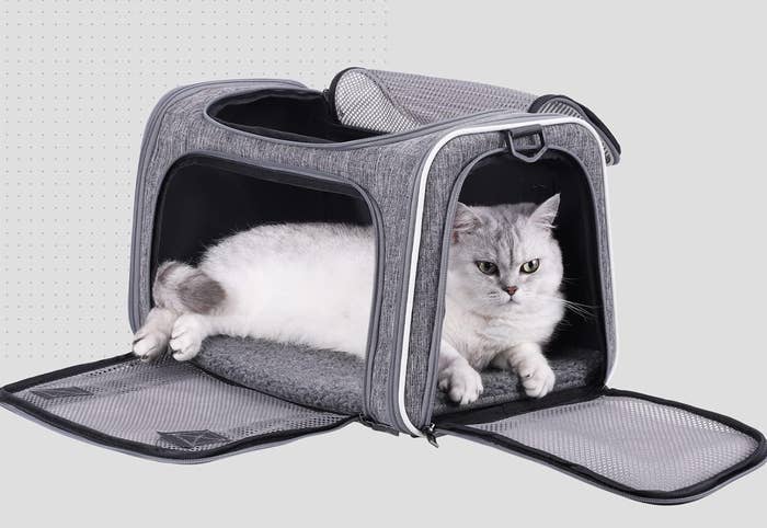 Cat lounging comfortably wrong  an unfastened  grey  favored  bearer  with mesh openings