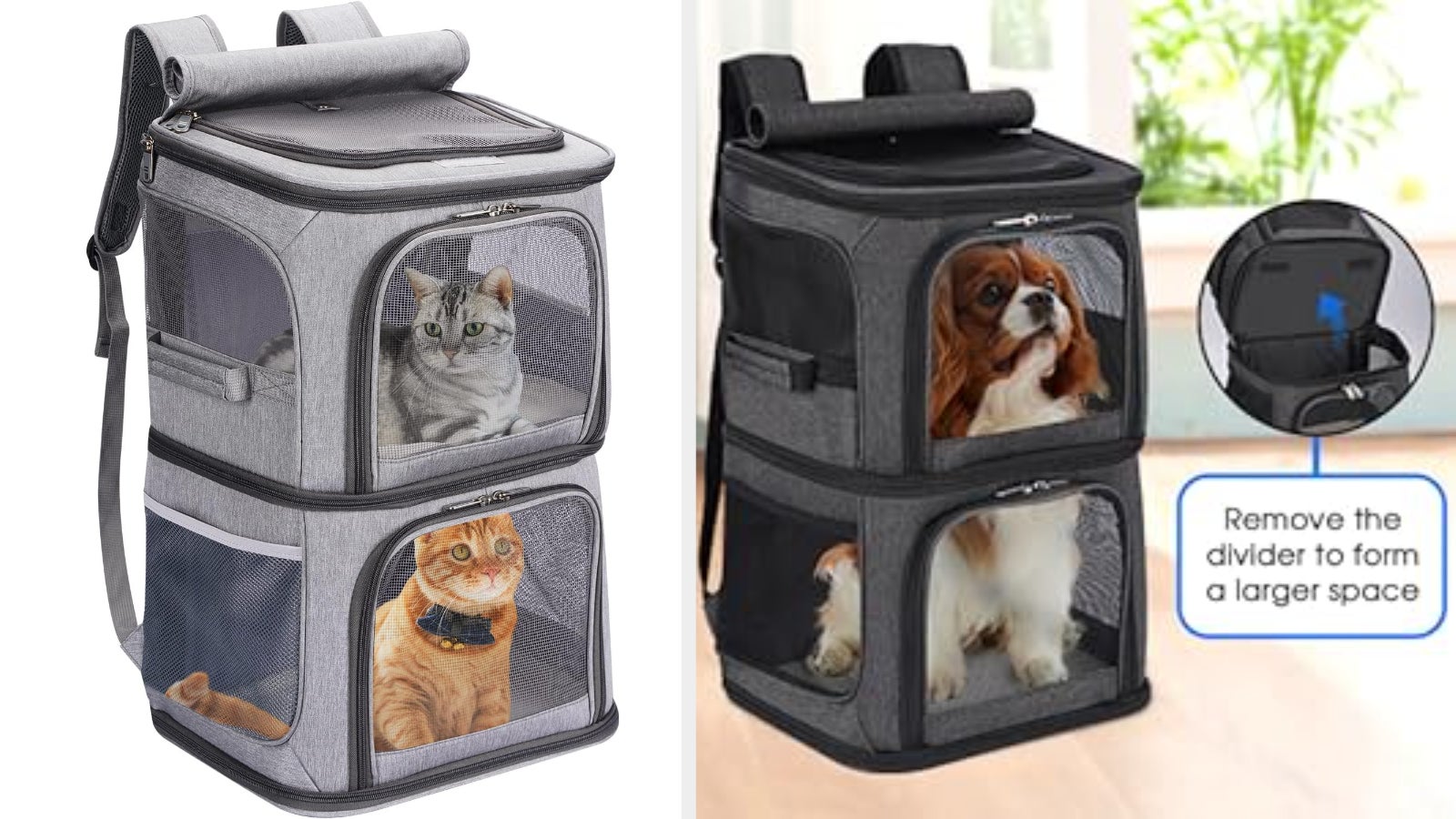 Pet bearer backpacks with mesh windows, 1 with a feline wrong and 1 with a dog. The divider tin beryllium removed for much space