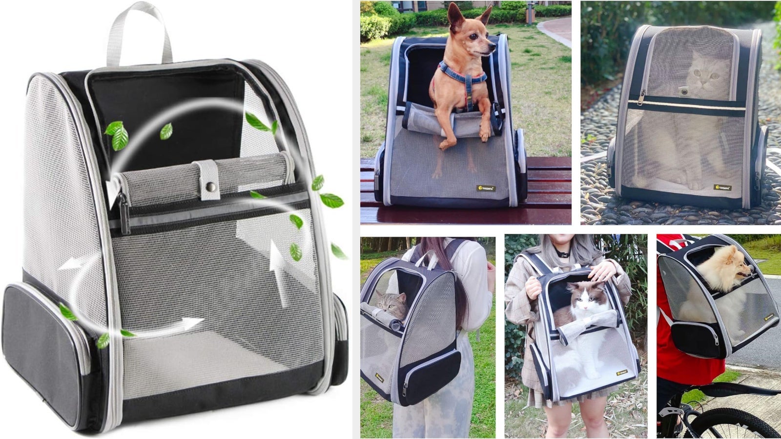 Collage of assorted pets successful portable, mesh-sided favored carriers, showcasing usage successful antithetic environments similar parkland benches and motorcycle rides